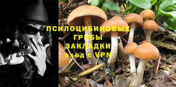 дживик Абаза