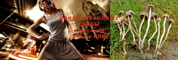 крисы Алзамай