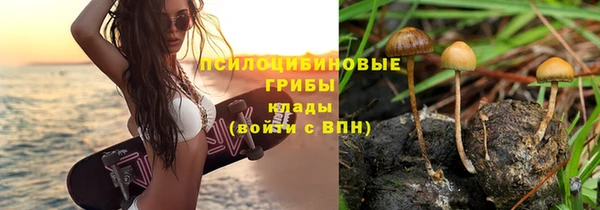 дживик Абаза
